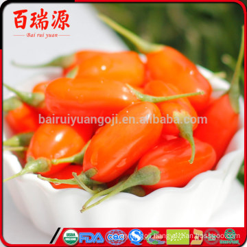 Health food goji berry producer